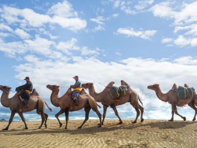 Mongolia, Ride Khugnu Khan Camels