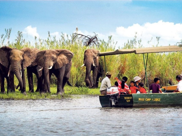 Malawi's Lakes & Wildlife - Liwonde National Park, Mvuu Camp & Lodge
