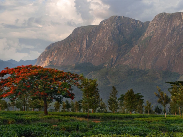 Malawi, Mulanje Mountains