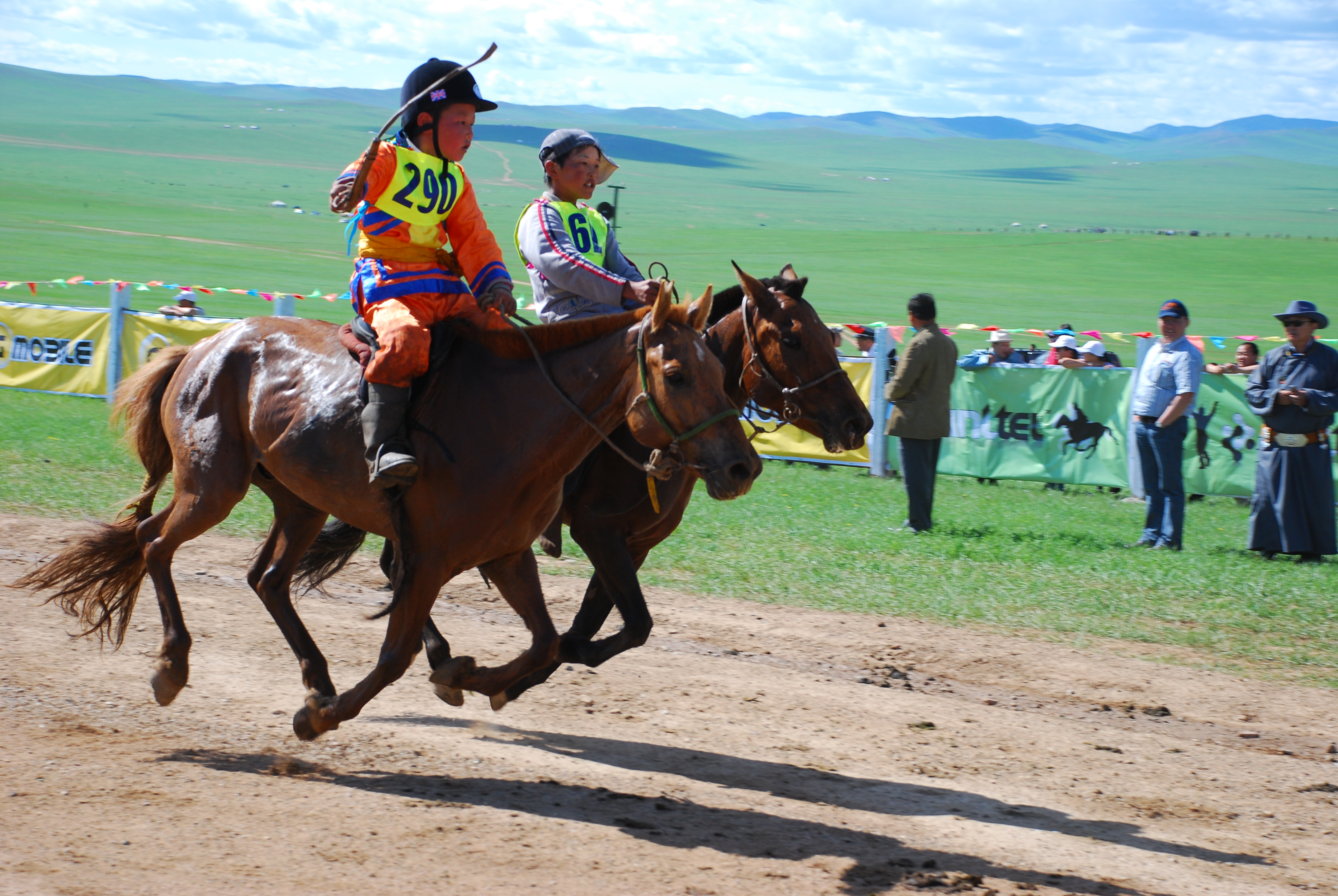 The Nadaam Festival - Przjevalski Horse Racing