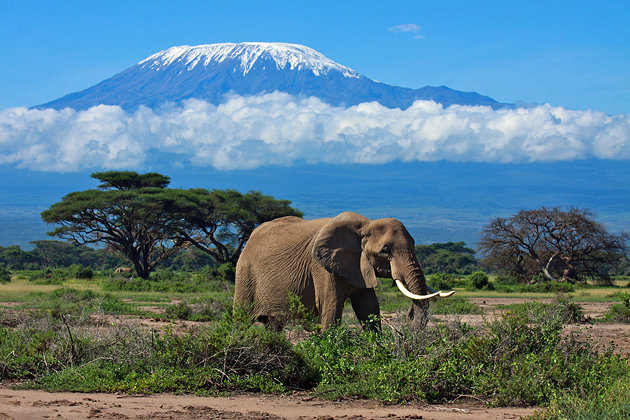 Tanzania, Mount Kilamanjaro