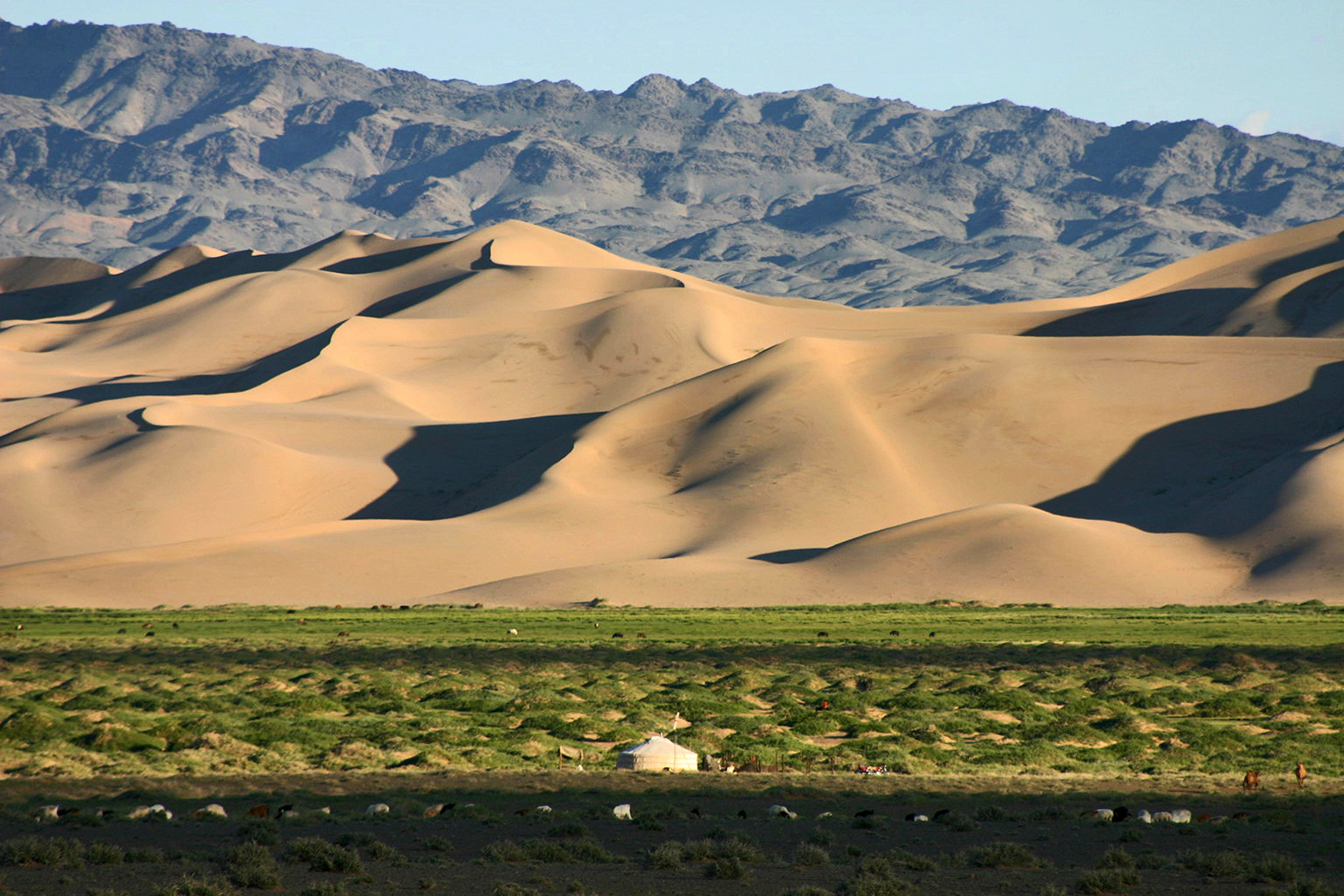 Treasures of Mongolia - Khongor Sand Dunes