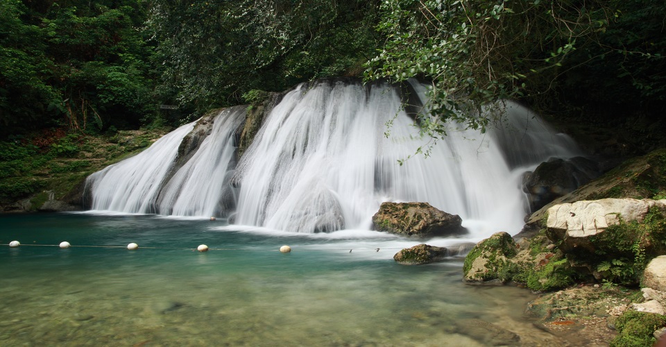 Jamaica, Montane Forrest, Reach Falls