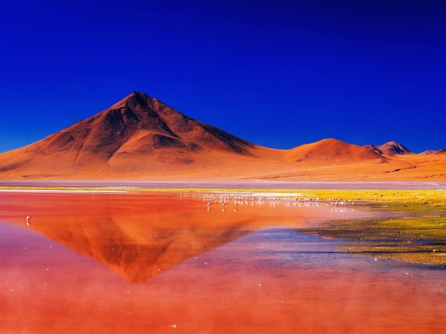 Bolivia, Laguna Colorada (Red Lagoon)