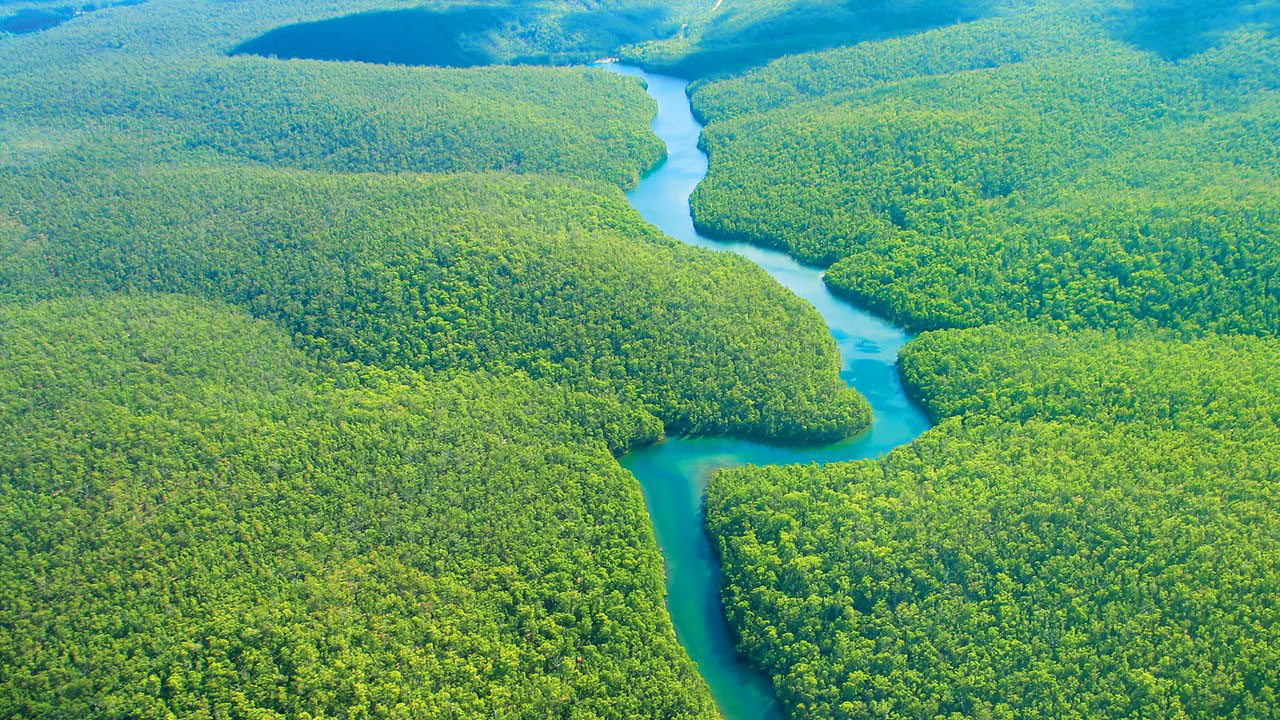 Brazil, Amazon Rainforest