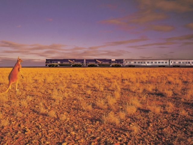 Great Southern Rail, The Indian Pacific