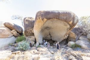 Wave Rock Outback Experience | Hippo&#039;s Yawn, Hyden, Australia&#039;s Golden Outback, Western Australia