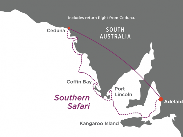 True North - Southern Safari