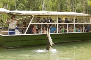 Tropical Trails | Hartley’s Crocodile Adventures, Wangetti, Queensland