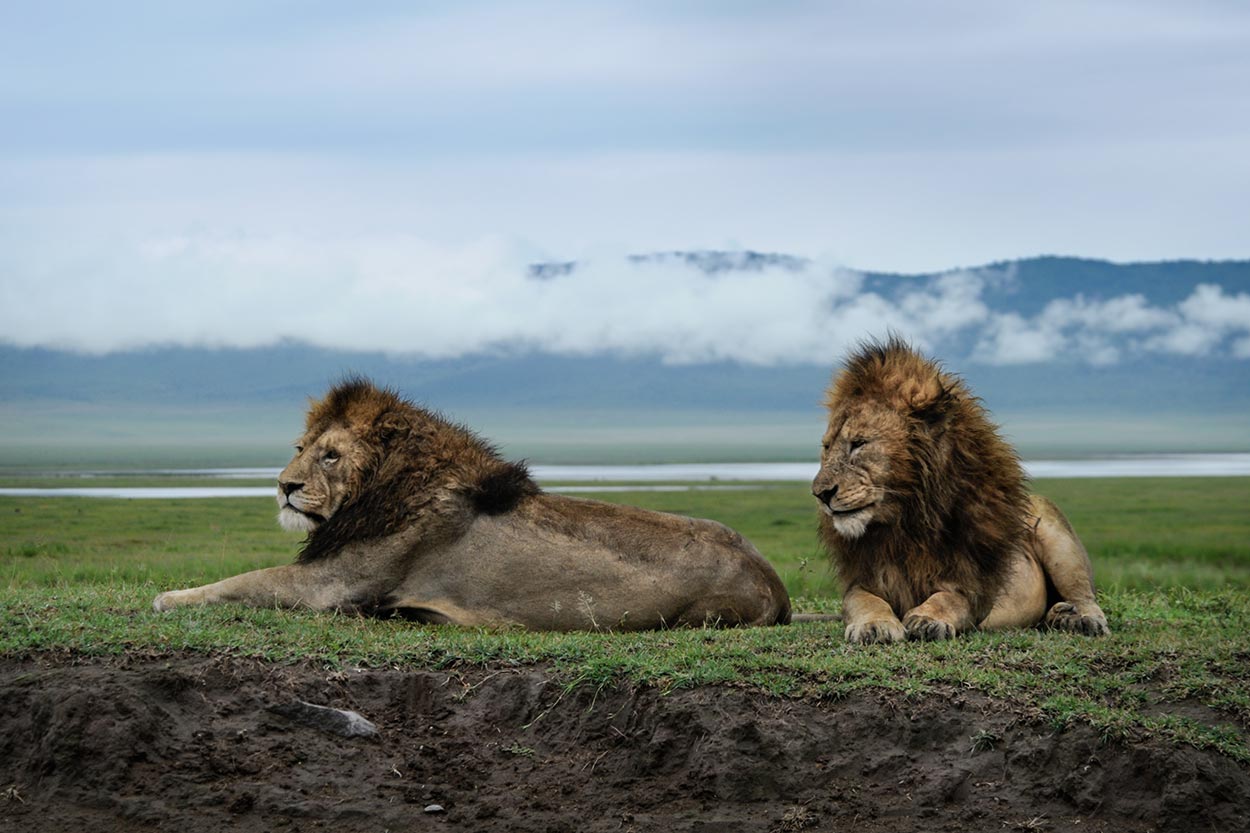 Tanzania Under Canvas Safari - Ngorongoro Crater
