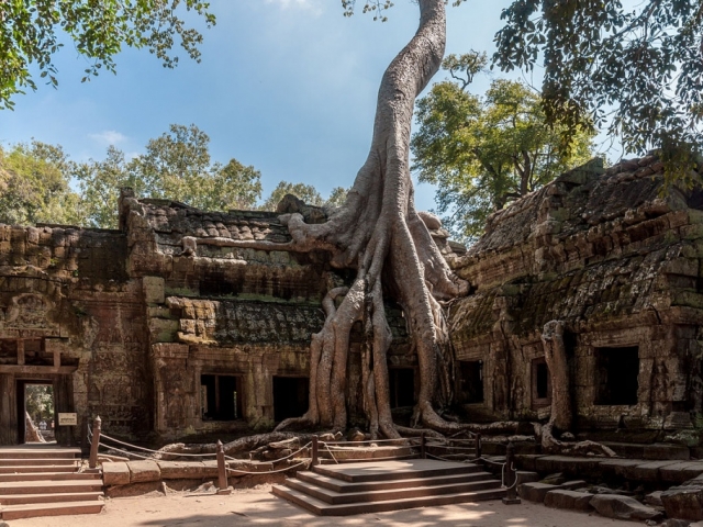 Siem Reap & The Khmer Legacy, Ta Prohm Temple