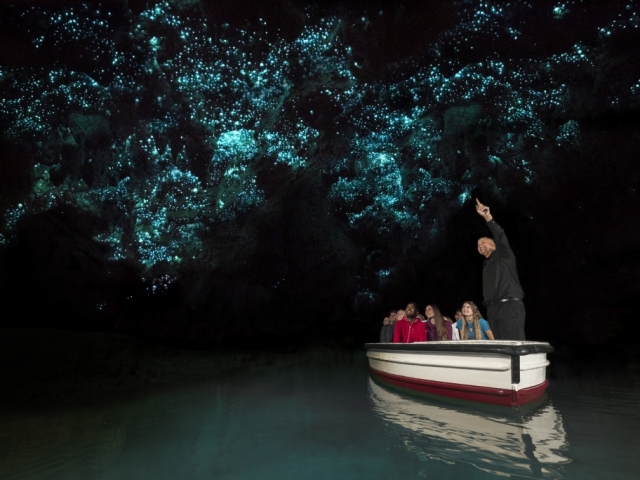 Iconic North | Glowworm Caves, Waitomo, New Zealand
