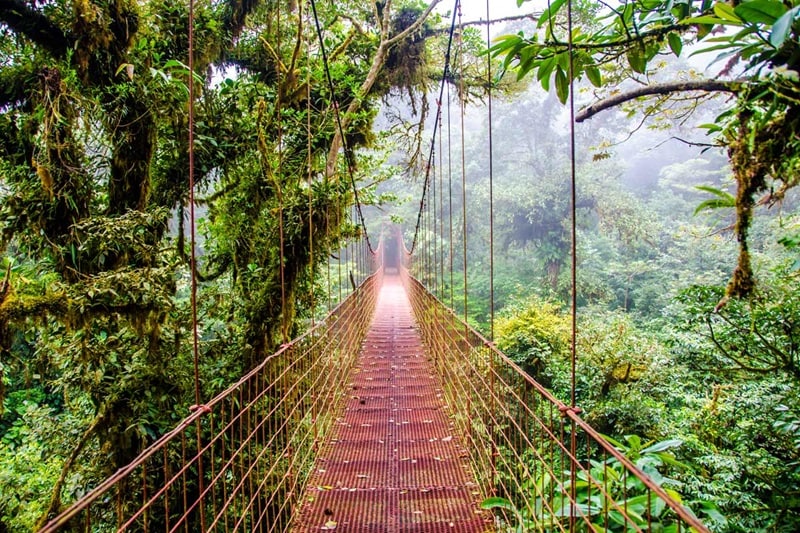 Costa Rica Eco Adenture | Arenal Hanging Bridges