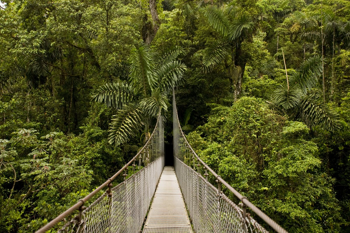 Costa Rica Adventure | Arenal Hanging Bridges