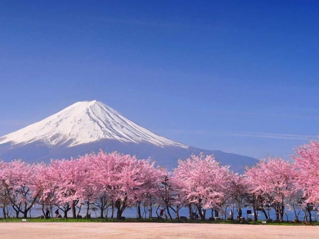 Treasures of Japan | Mt Fuji