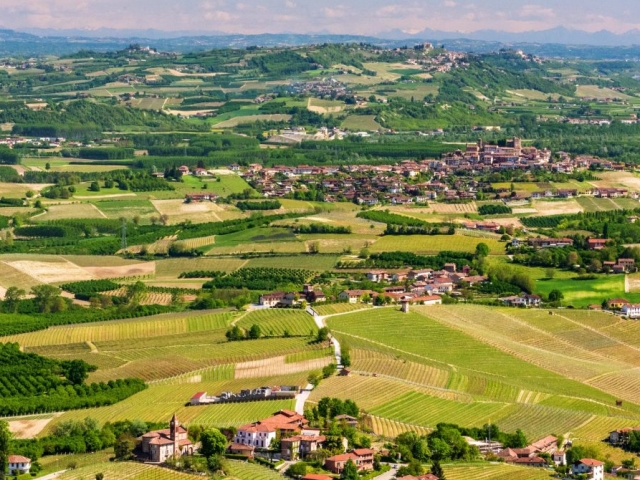 Piedmont: Food, Wine & Truffles - Langhe, italy