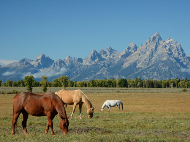 Western Frontiers | Grand Teton National Park, Wyoming, USA