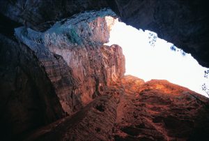 Purnululu Experience | Cathedral Gorge, Purnululu National Park, The Kimberley, North West, Western Australia