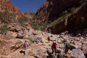 Best of the Larapinta Trail | Hiking the Larapinta Trail, Central Australia, Northern Territory